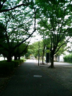070808_182944.JPG