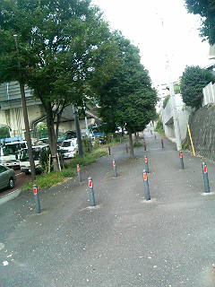 071018_140317.JPG