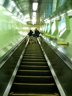 071018_154606.JPG